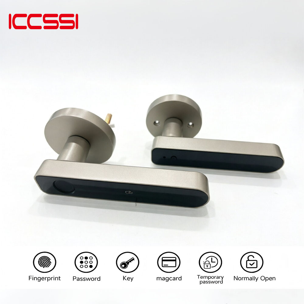 Letter Opener Brass - Электронный цифровой замок ICSSII Tuya: Умный