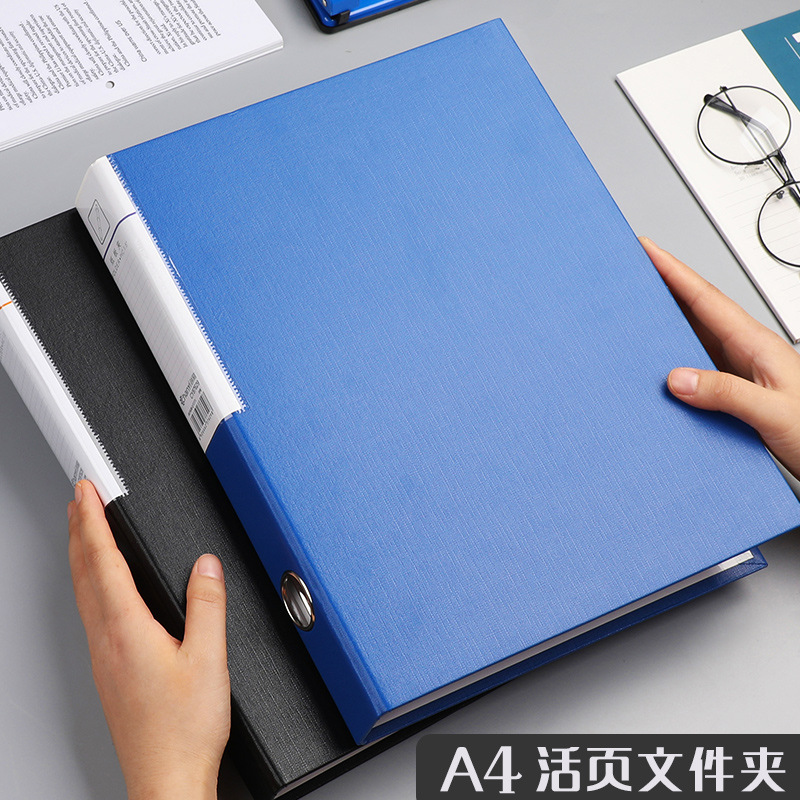 Папка-кольцо A4 с 2/3 отверсти – обзор и цена Binder A4 Lever